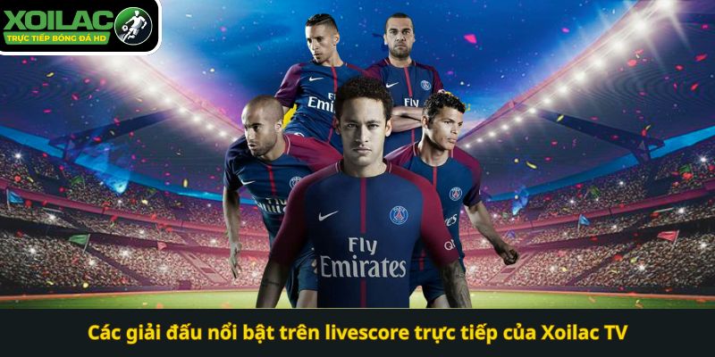 Các giải đấu nổi bật trên livescore trực tiếp của Xoilac TV