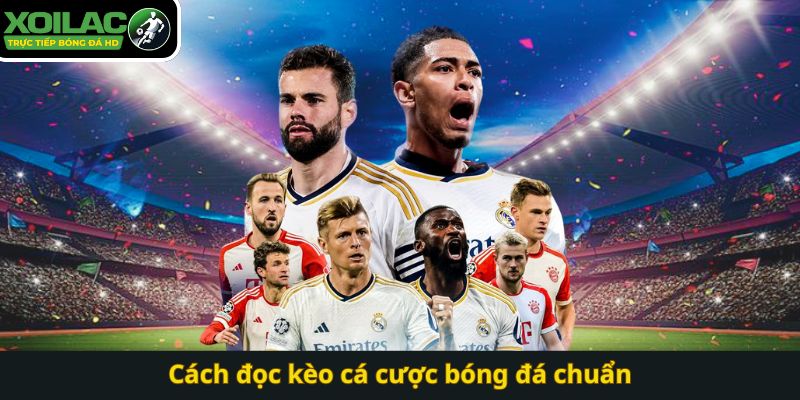 Cách đọc kèo cá cược bóng đá chuẩn