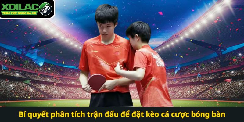 Bí quyết phân tích trận đấu để đặt kèo cá cược bóng bàn