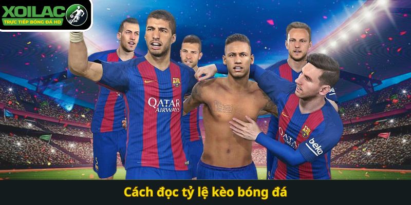Cách đọc tỷ lệ kèo bóng đá