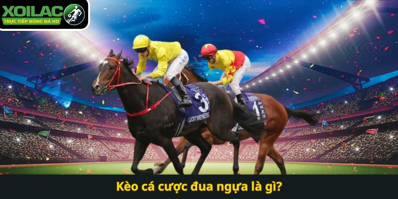 Kèo cá cược đua ngựa là gì?